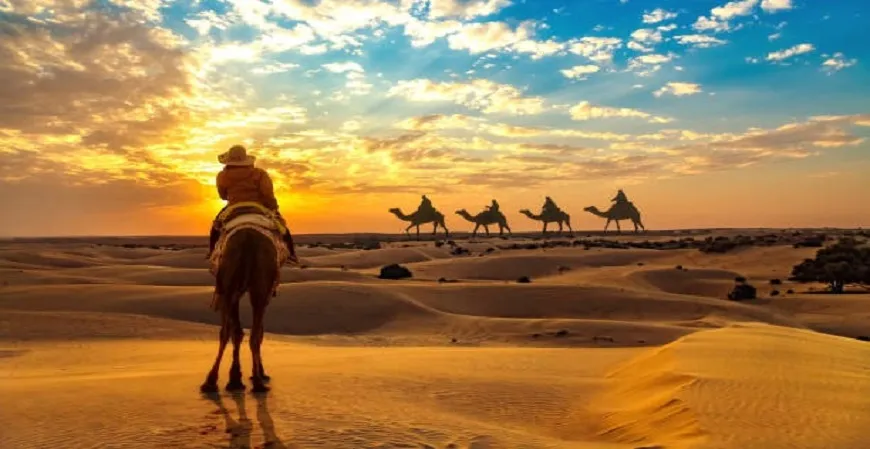 The Desert Cuisine of Rajasthan Tastes and Traditions from the Valley